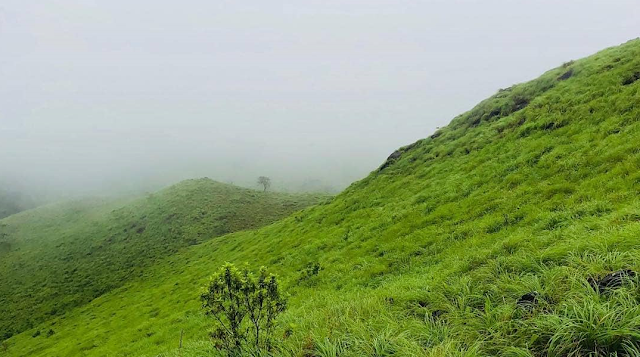 കേരള ടൂറിസത്തിനും കോഴിക്കോടിനും ഒരു മുതൽക്കൂട്ടാവുകയാന്ന് കക്കാടംപൊയിൽ ഹിൽ സ്റ്റേഷൻ . | Kakkadampoil | Calicut | Malappuram | Wayanad |